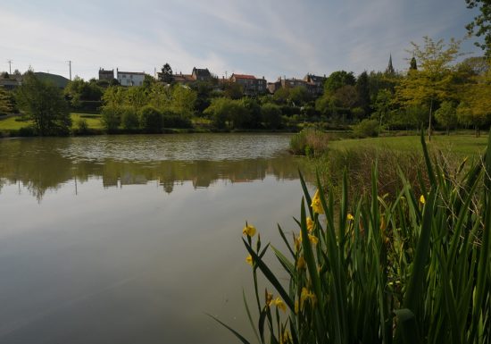 GR® de Pays « Sèvre et Maine »